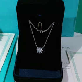 2020 Tiffany Solitaire 18k Platinum Diamond Necklaces 